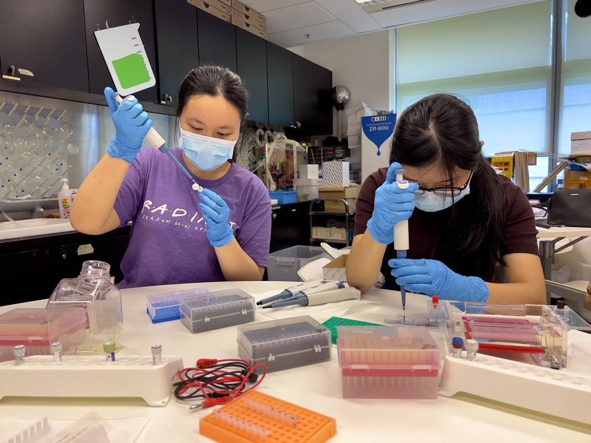 基因工程_CRISPR_Cas9 1