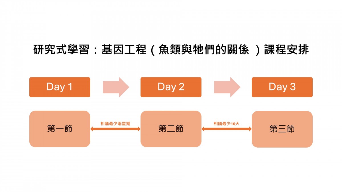基因工程_魚類與牠們的關係3